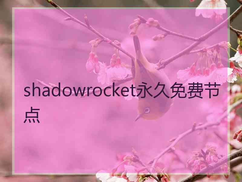 shadowrocket永久免费节点