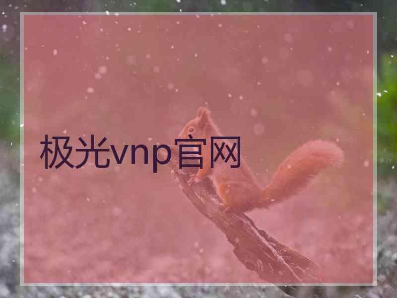 极光vnp官网