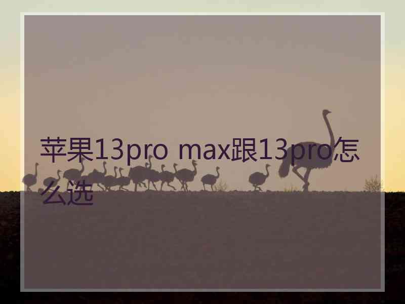 苹果13pro max跟13pro怎么选