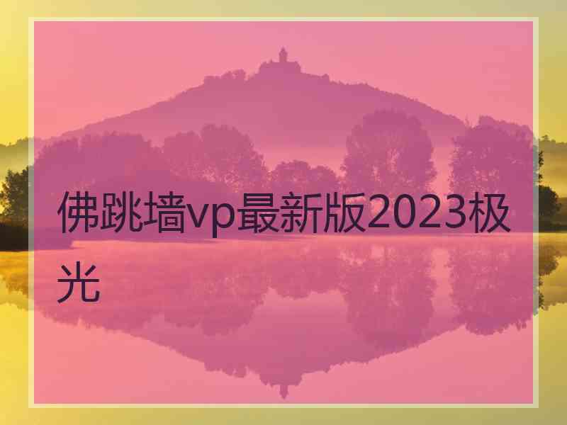 佛跳墙vp最新版2023极光