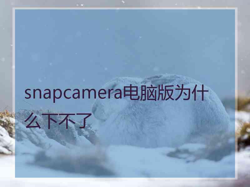 snapcamera电脑版为什么下不了