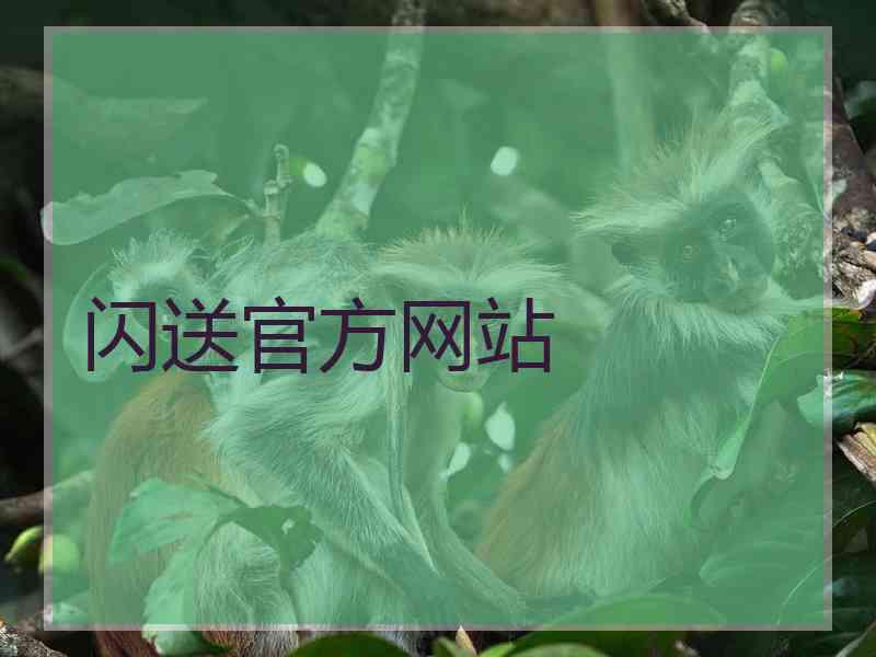 闪送官方网站