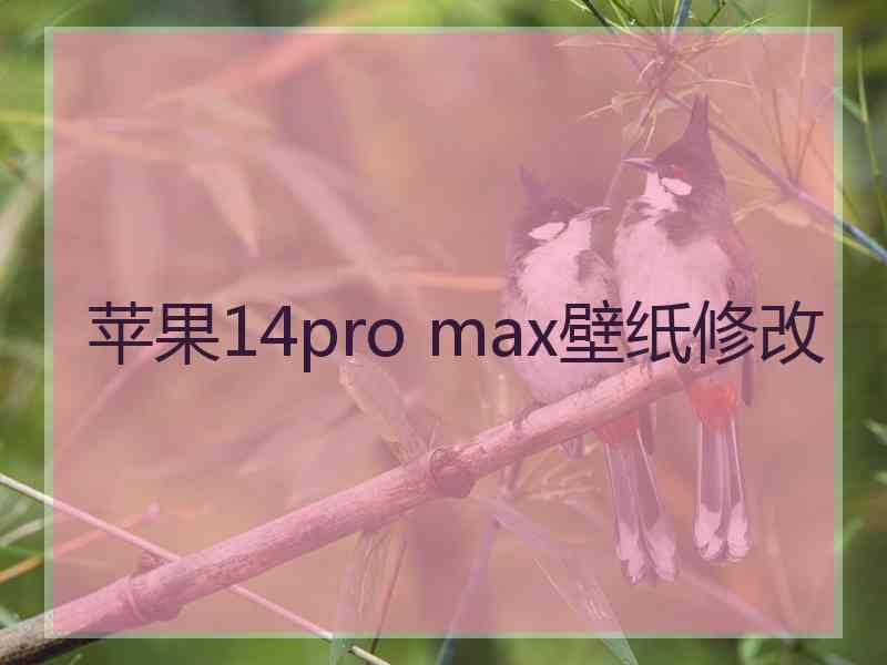 苹果14pro max壁纸修改