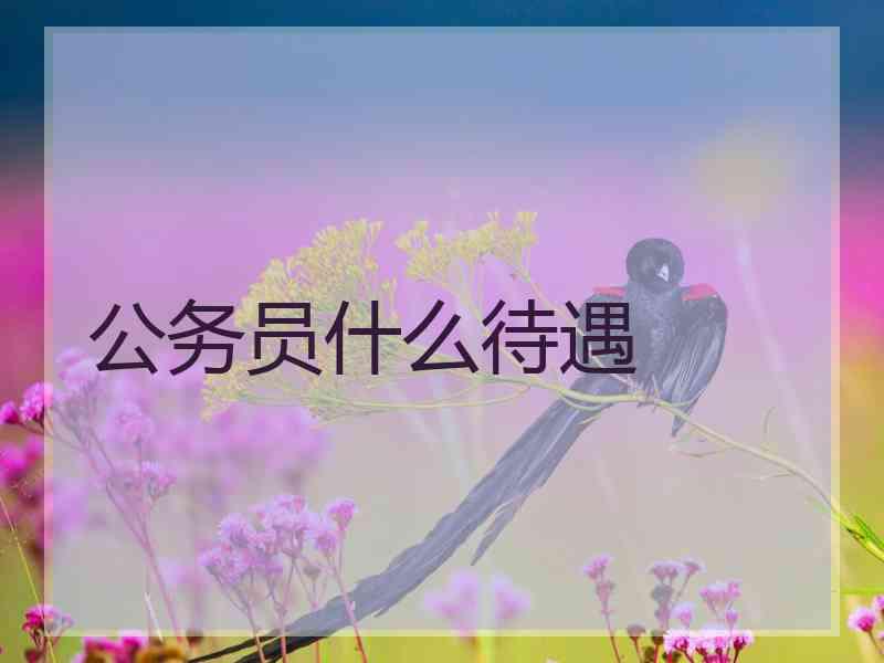 公务员什么待遇