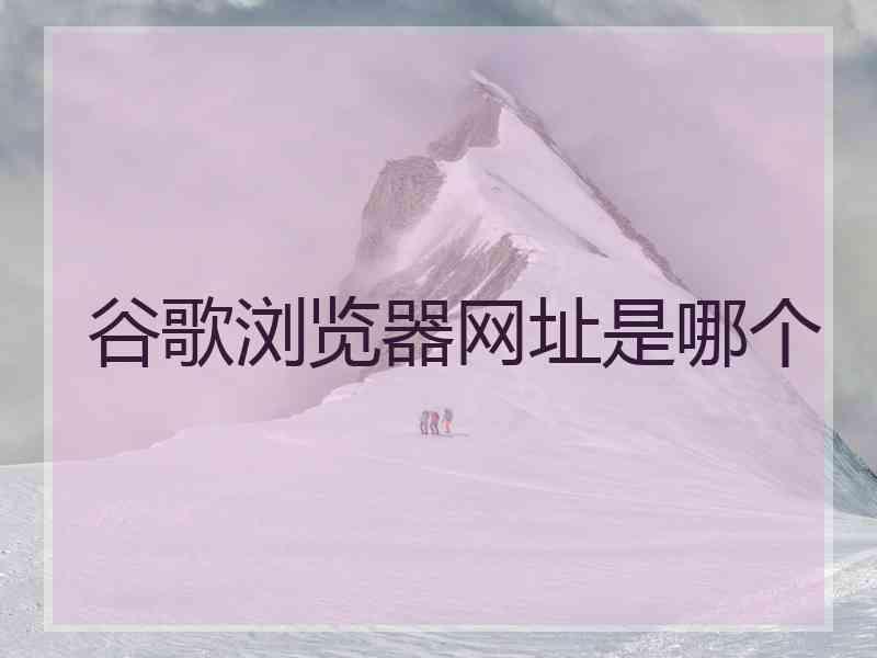 谷歌浏览器网址是哪个