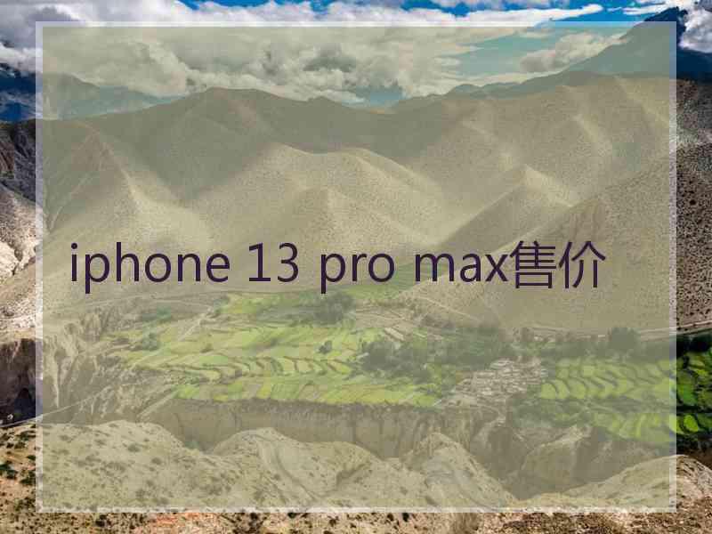 iphone 13 pro max售价