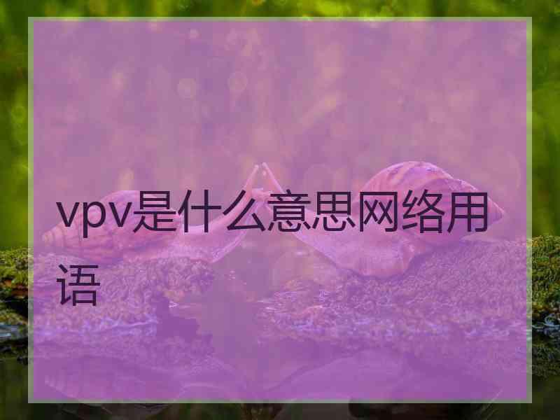 vpv是什么意思网络用语