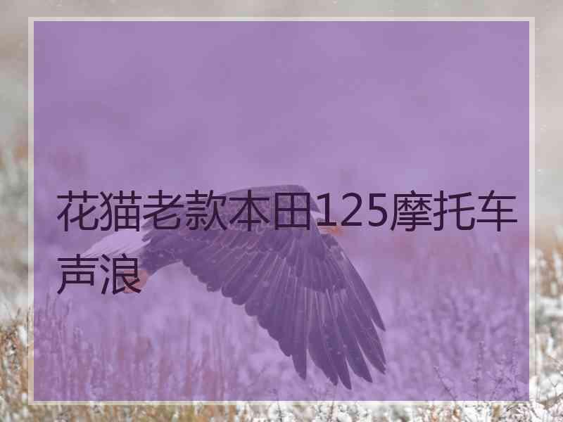 花猫老款本田125摩托车声浪