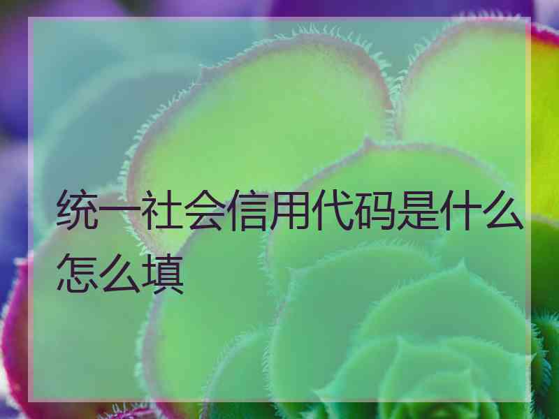 统一社会信用代码是什么怎么填