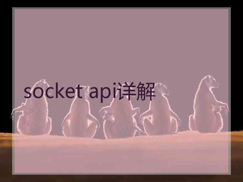 socket api详解