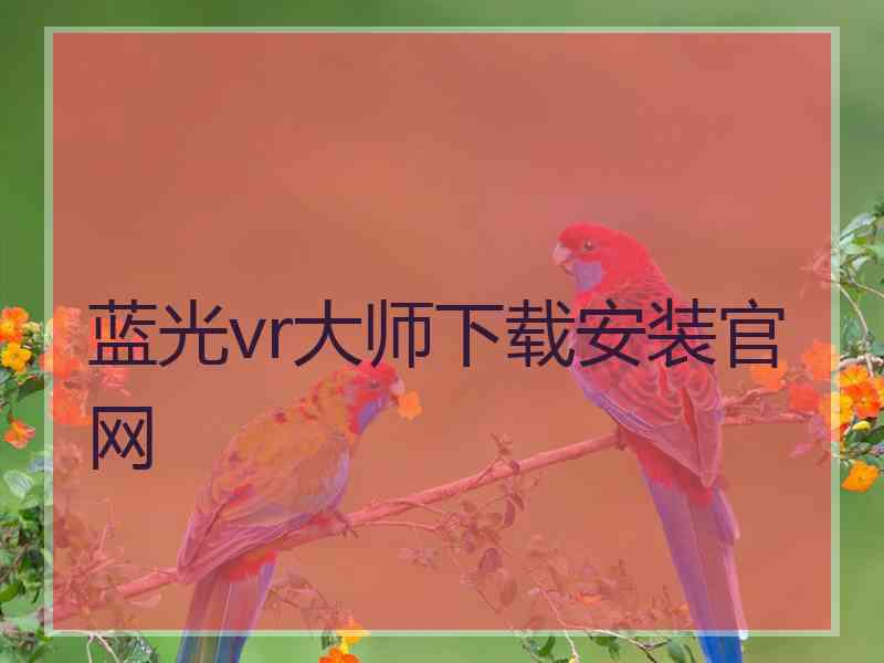 蓝光vr大师下载安装官网