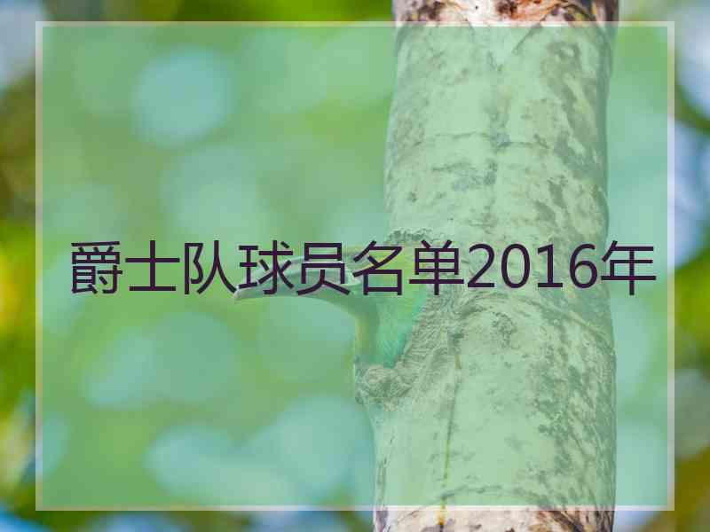 爵士队球员名单2016年