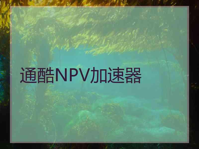 通酷NPV加速器