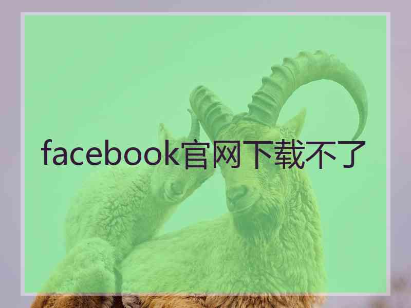 facebook官网下载不了