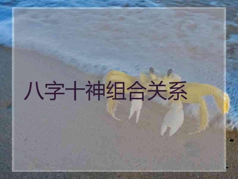 八字十神组合关系