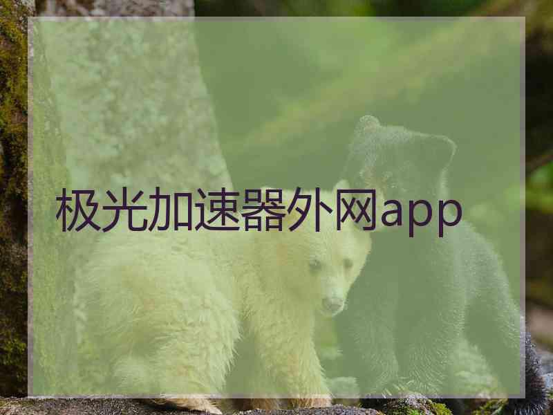 极光加速器外网app