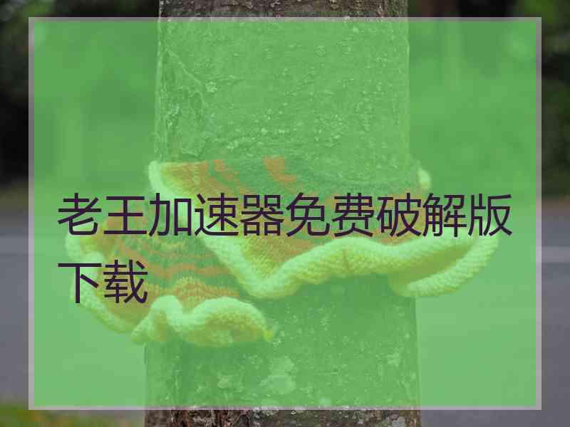 老王加速器免费破解版下载