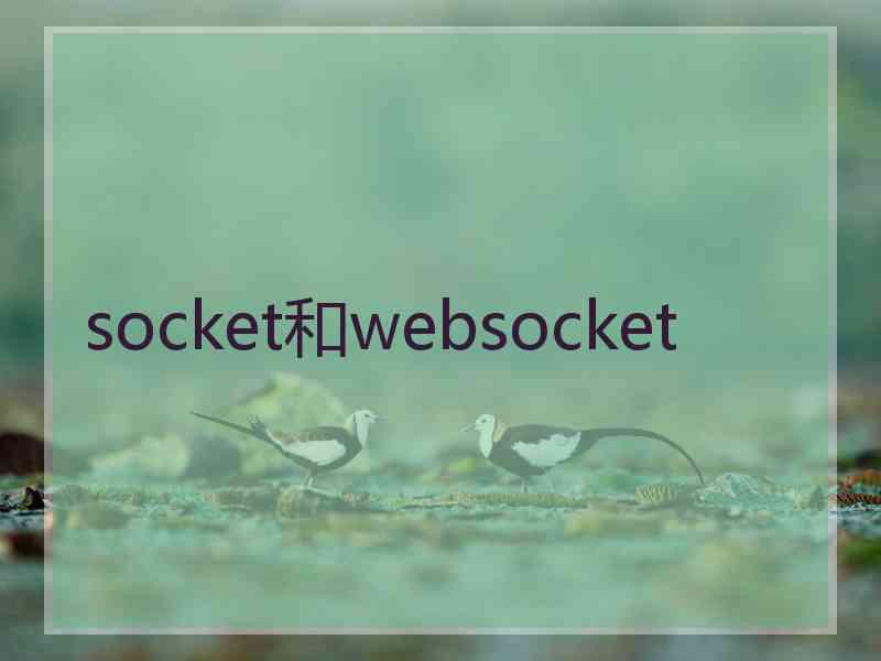 socket和websocket