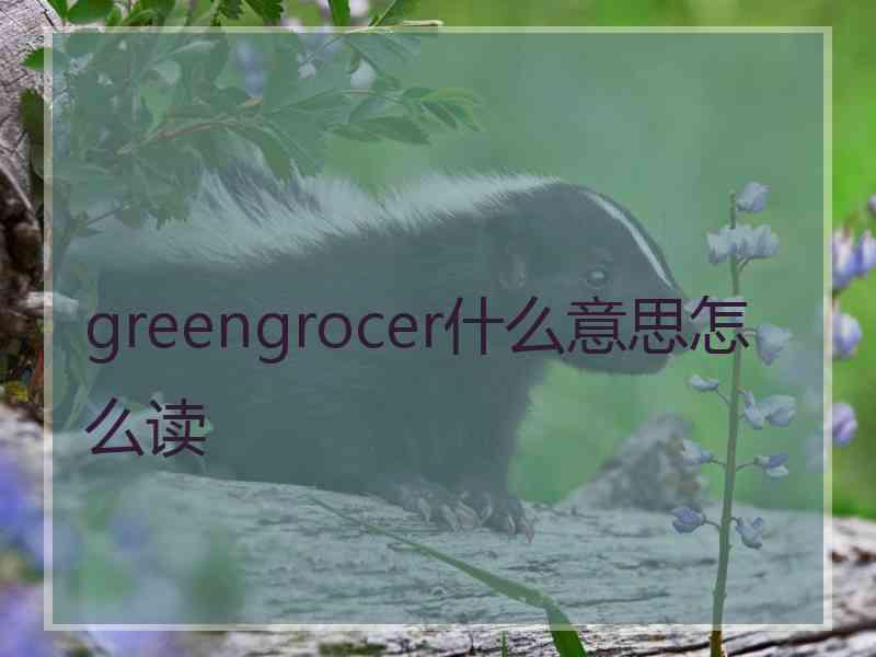 greengrocer什么意思怎么读