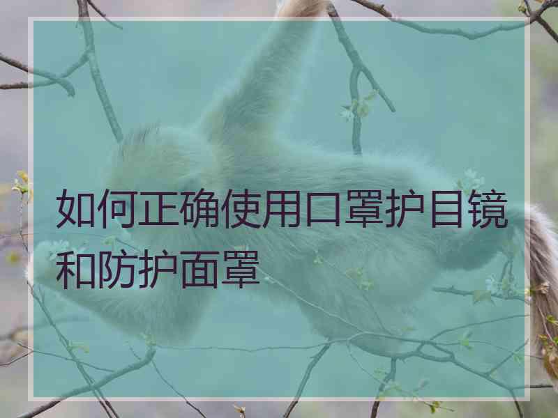 如何正确使用口罩护目镜和防护面罩