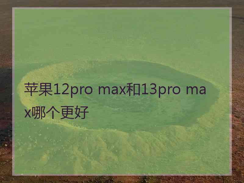 苹果12pro max和13pro max哪个更好