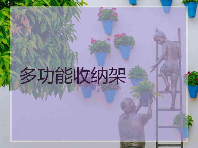 多功能收纳架