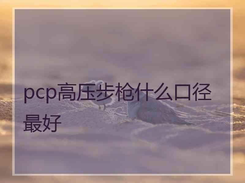 pcp高压步枪什么口径最好