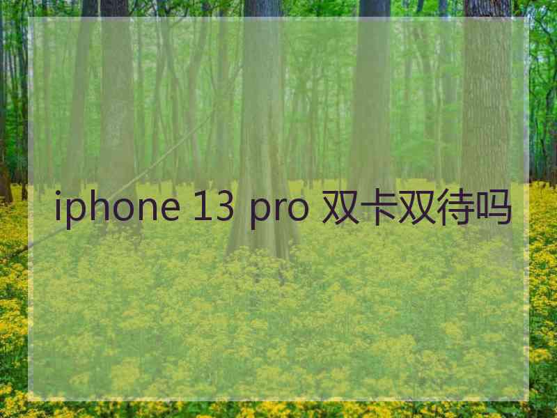 iphone 13 pro 双卡双待吗