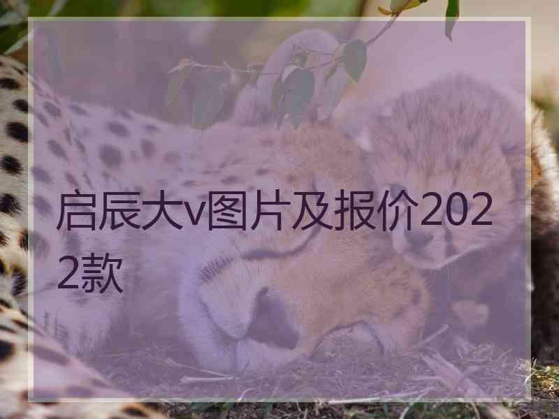 启辰大v图片及报价2022款