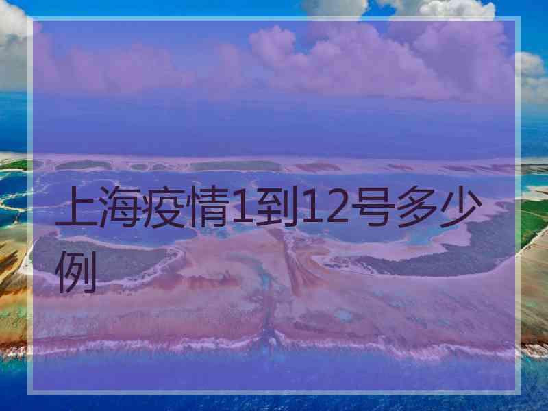 上海疫情1到12号多少例