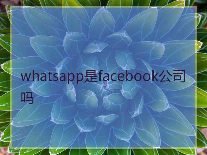 whatsapp是facebook公司吗