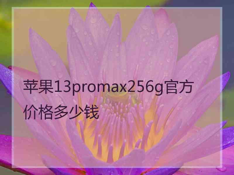 苹果13promax256g官方价格多少钱