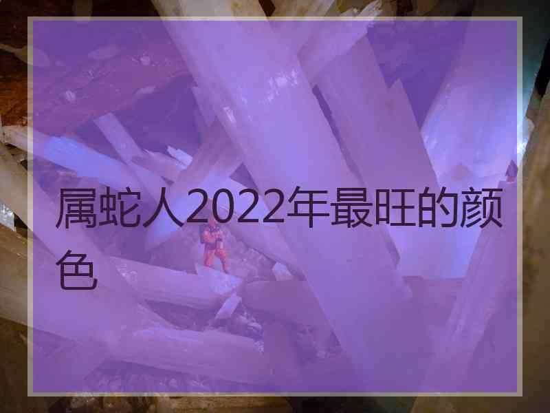 属蛇人2022年最旺的颜色