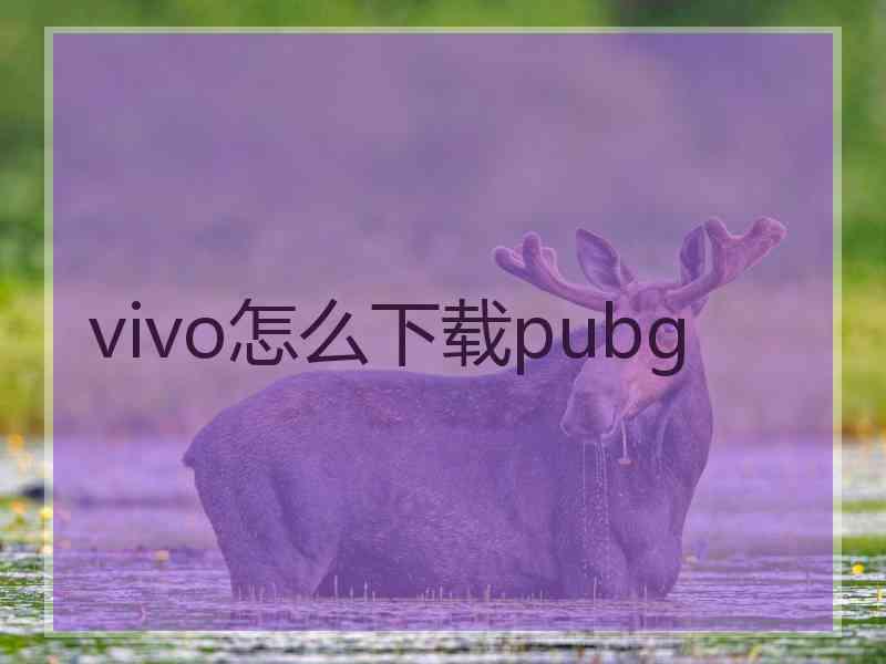 vivo怎么下载pubg