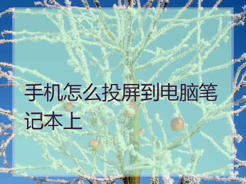 手机怎么投屏到电脑笔记本上