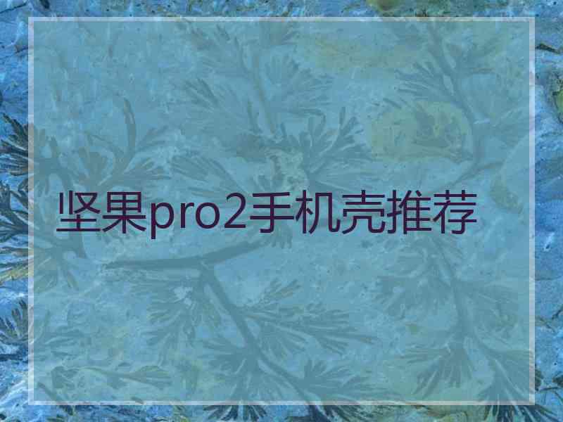 坚果pro2手机壳推荐