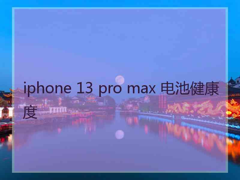 iphone 13 pro max 电池健康度