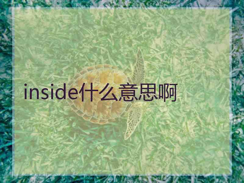 inside什么意思啊