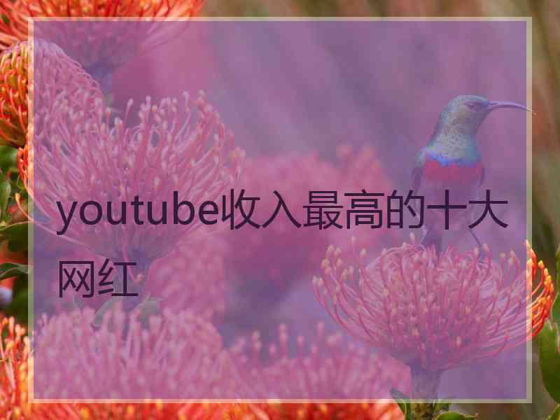 youtube收入最高的十大网红