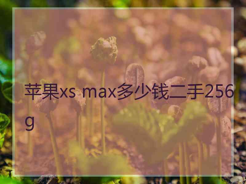 苹果xs max多少钱二手256g