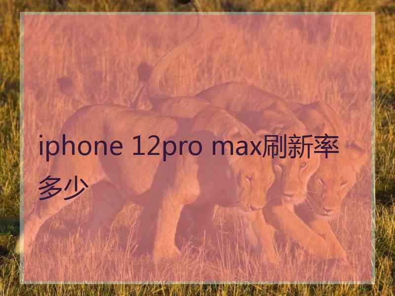 iphone 12pro max刷新率多少