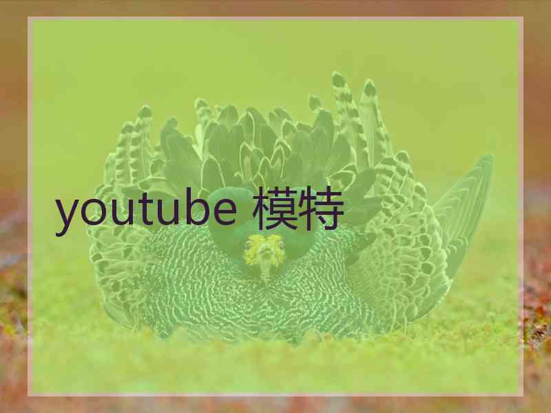 youtube 模特