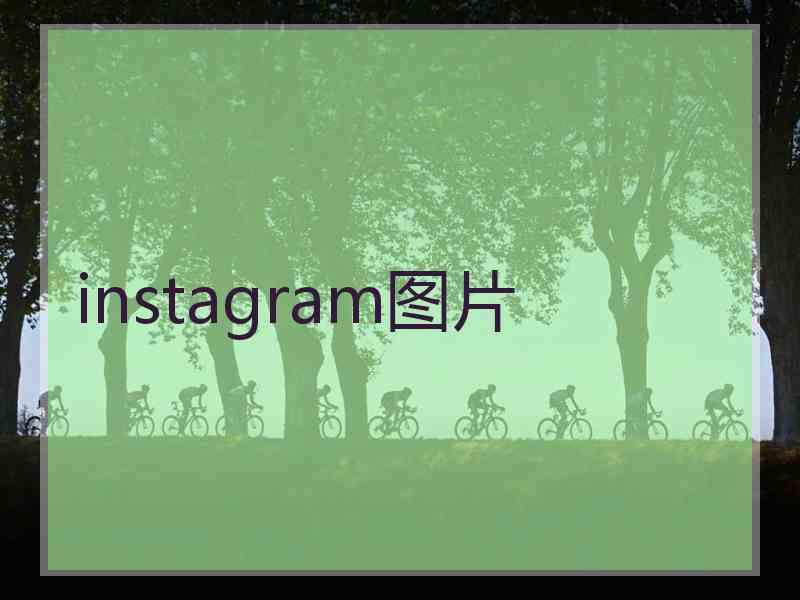 instagram图片