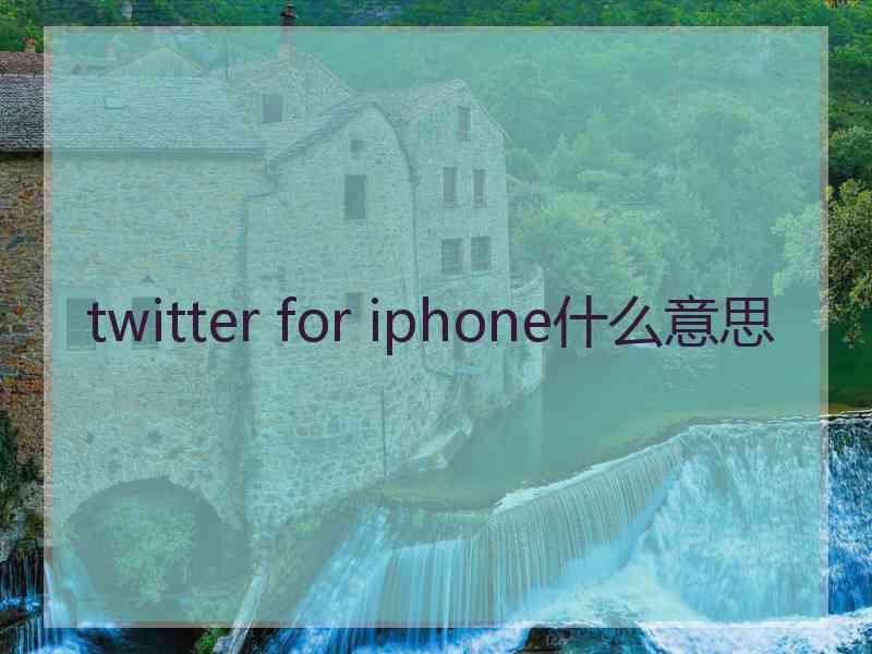 twitter for iphone什么意思