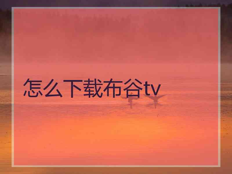 怎么下载布谷tv