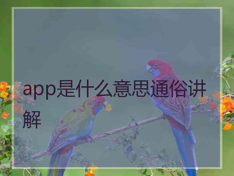 app是什么意思通俗讲解