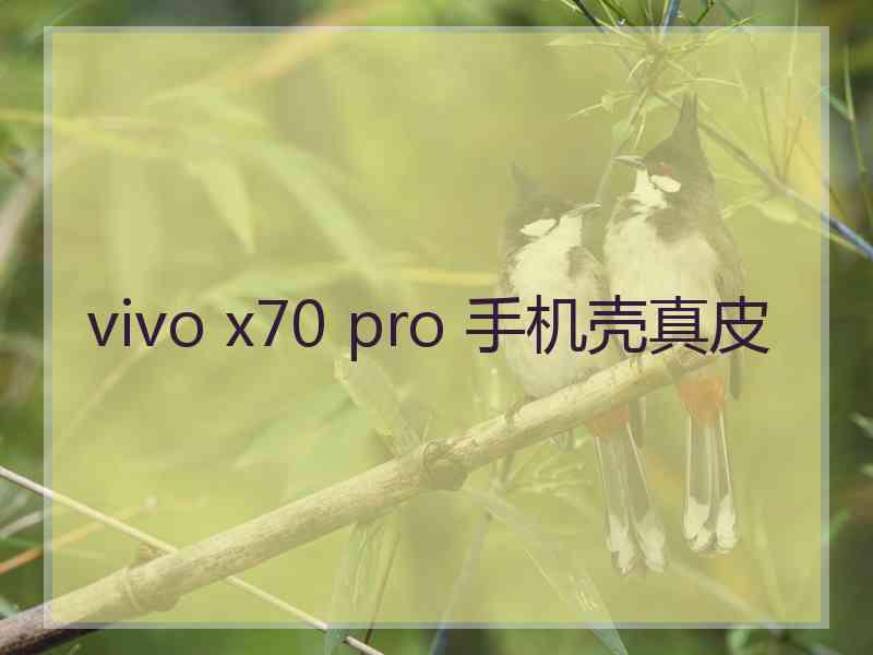 vivo x70 pro 手机壳真皮