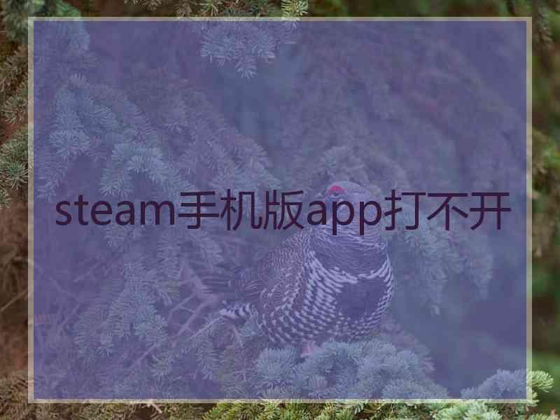 steam手机版app打不开