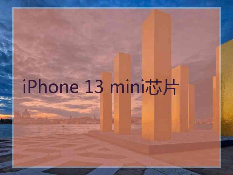 iPhone 13 mini芯片