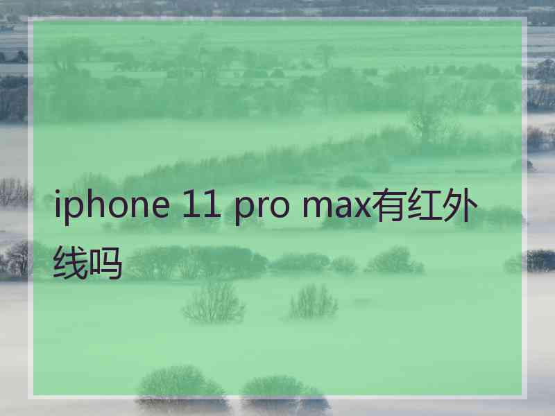 iphone 11 pro max有红外线吗